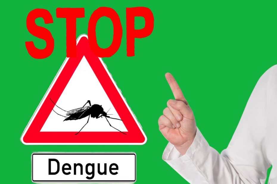 Dengue kumakalat sa maraming bansa